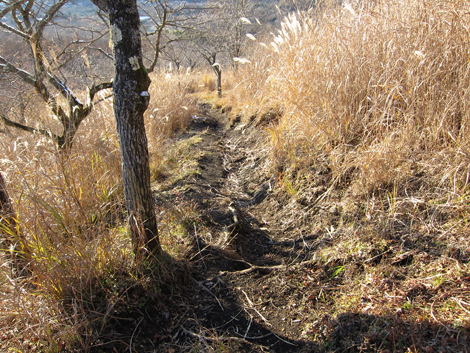 20191129hike (596)